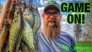 What is the BEST Crappie Jig for SUNNY Conditions? WATCH THIS!