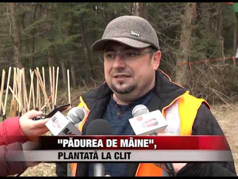 „Pădurea de mâine”, plantată la Clit