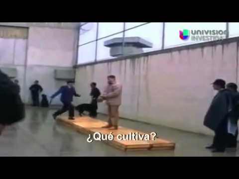 Entrevista a el Chapo Guzman En 1993 (Resuvido - 2014)