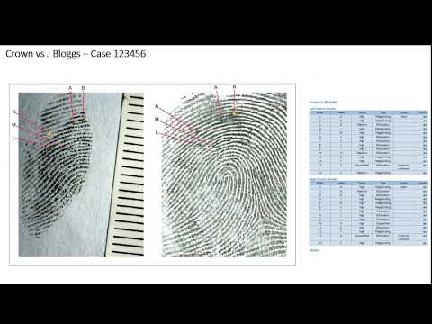 Walking the Ident Overview- Advanced techniques