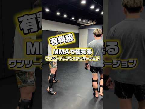 【有料級】MMAで使えるワンツーフックのコンビネーション！ #キックボクシング #格闘技 #総合格闘技 #mma #kickboxing #RIZIN