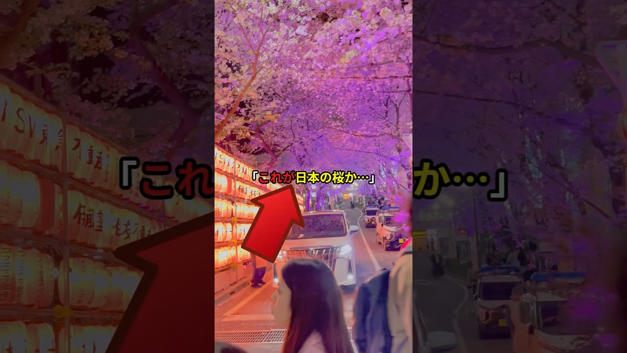 日本の“花見”で撮影されたありえない光景に世界が震撼した理由