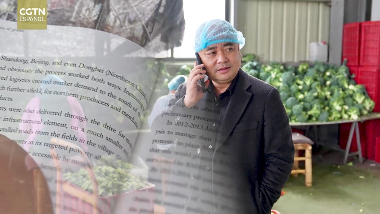 Descifrando China: La historia de David en Zhejiang- El "rey de las frutas y las verduras" de Andong