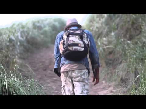 A Day in the Life of RPAS