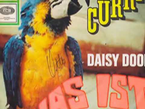 Daisy Door - Was ist dabei