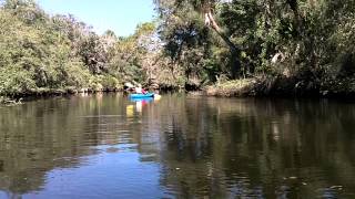 preview picture of video 'Kayaking on the St. Sebastian River, Florida'