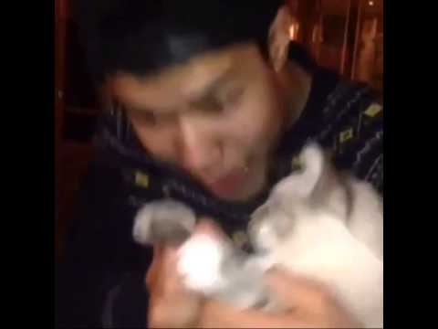 WDKTZ PILL ONE LOKTIKOT