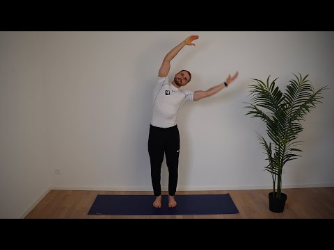 (TB) 411 FAMO TikTok 3x Armkreis