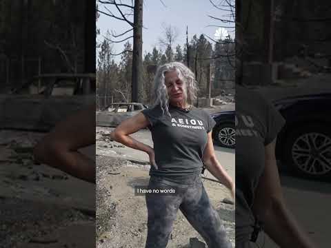 Owner of viral statue that survived wildfire on losing her home