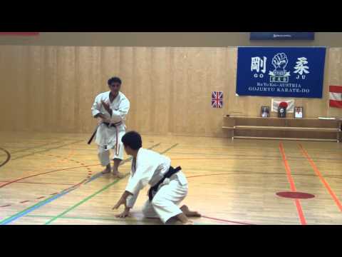 Suparinpei Bunkai by Shihan Michael Kienast