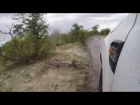 Vom Third Bridge Camp zum South Gate in Moremi