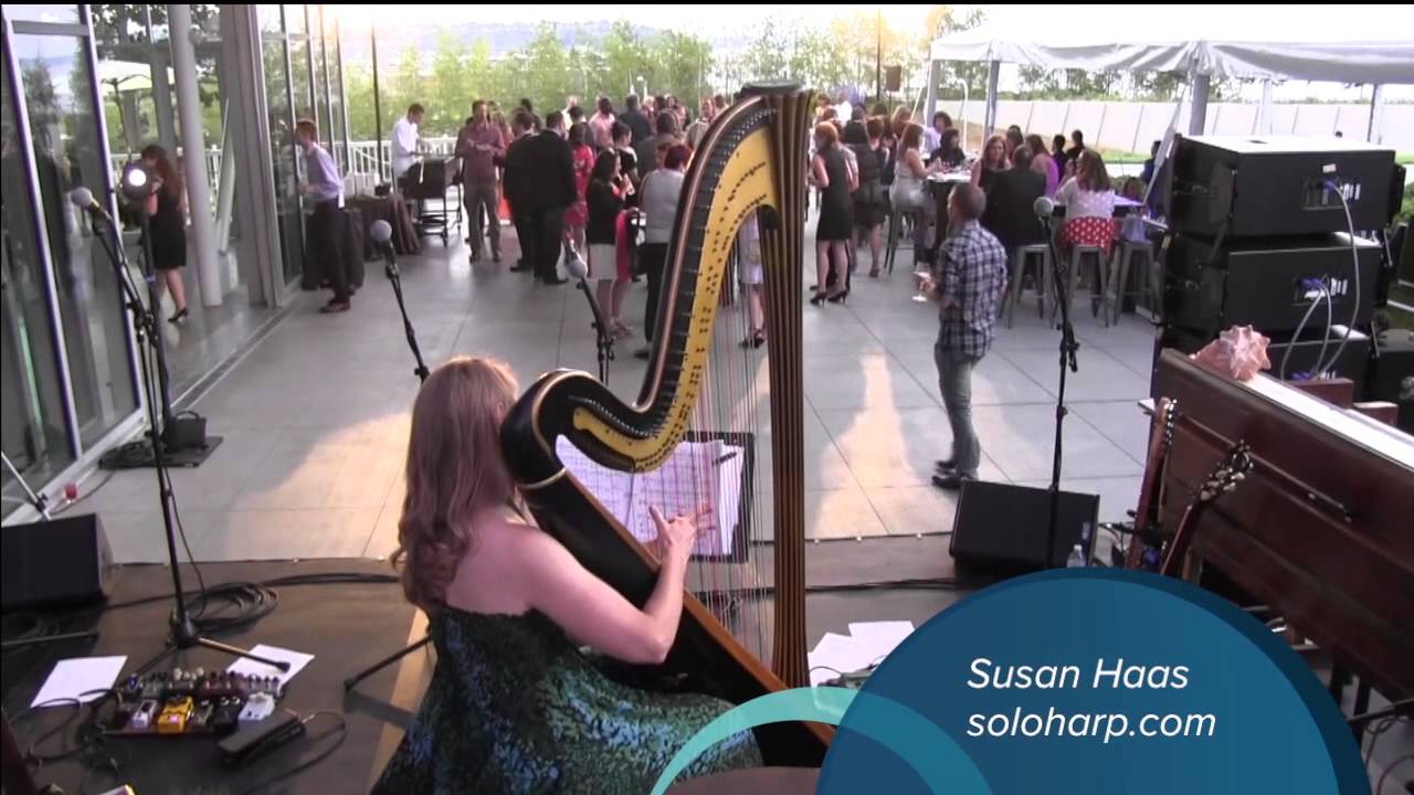 Promotional video thumbnail 2 for Susan W. Haas, Harpist