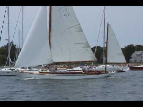 2012-07-13 SNOWY OWL