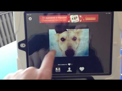 Приколы Демотиваторы Анекдоты Video