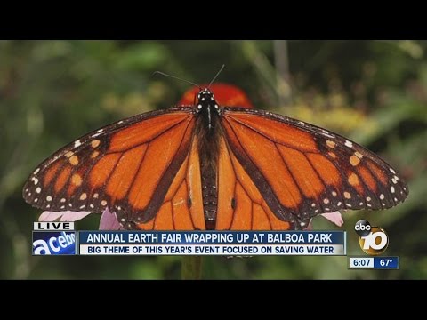 Volunteers worked on planting milkweed to help save monarch butterflies