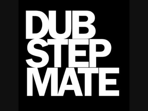 Borgore Feat Ranking Levy - Rub A DubStep