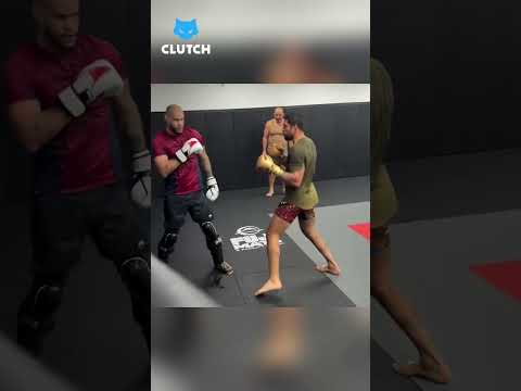 Alex Poatan treina com Xicão para sua luta com Ciryl Gane #UFC