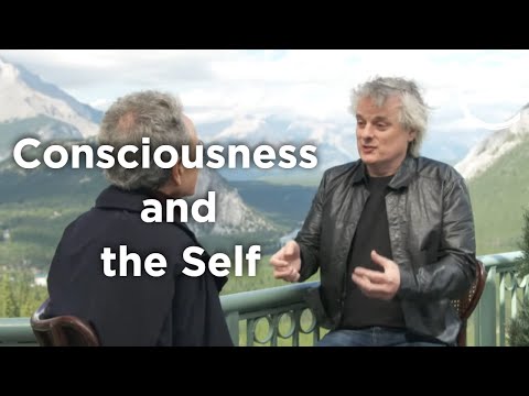 David Chalmers - Consciousness and the Self