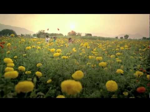 Hitachi Tomorrow Together