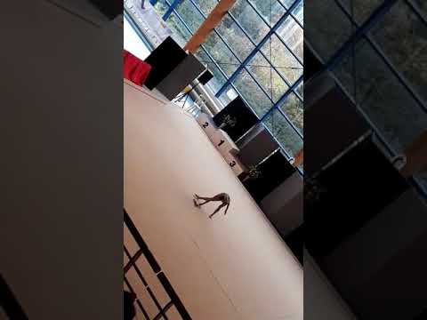 Anna Khutsishvili - Corde