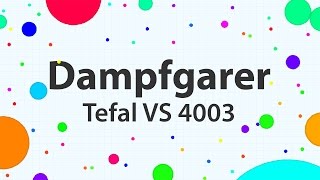Dampfgarer Tefal VS 4003 Test (11/2016)