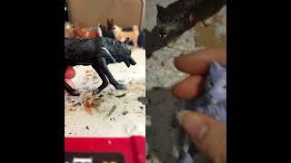 Shadow the spirit wolf is live!