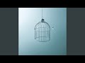 A Cage Made of Air