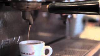 Daniela Nardi's Espresso Manifesto Trailer