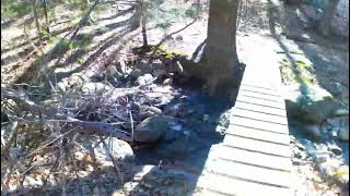 Raymond Trail [ UpNorth ] Virtual Trail Tour Spring 2022