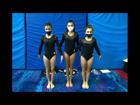 Prima Prova Campionato SERIE D a squadre GAF 2021 LB