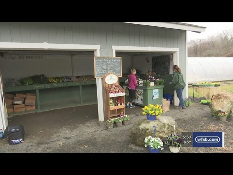 0 Directory | BISTRO BUDDY | Food & Drink Community Network The, Farmington, Produce Farms, Ct, Project Graduation, Local Community, Farmington Food Pantry, Orga Visit The Farm Truck At Hein Farm In Farmington, Ct For Organic Produce, Garden Center, Cut Your Own Flowers, And More! Shop Local And Support Your Community.