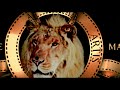 Metro Goldwyn Mayer 2012