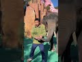 Ek Balloon Ki Kimat Tum Kya Jano Hathi Babu Yun Ford Diya Socha Nahin Hathi Babu Shorts Kikimo