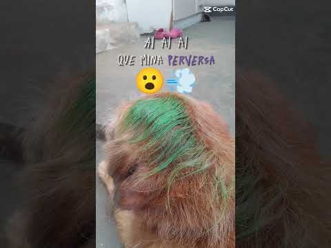 ai ai ai que mina perversa!😈 #comentem #inscreva_se