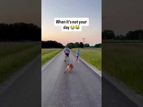 When it not your day #funny