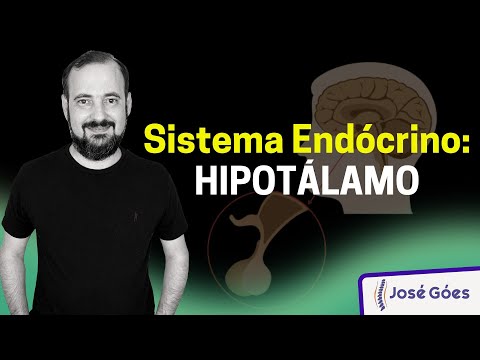Sistema Endócrino: HIPOTÁLAMO | José Góes