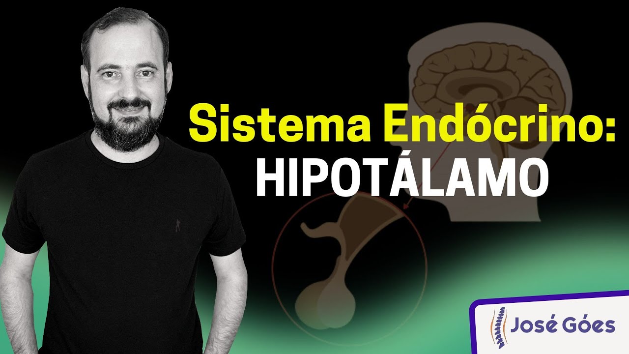 Sistema Endócrino: HIPOTÁLAMO | José Góes
