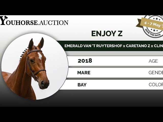 Enjoy showvideo outdoor