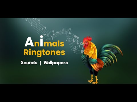 Animal Ringtones Video