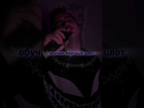 Youlec – мёртвый цвет 💜 Скоро на всех площадках