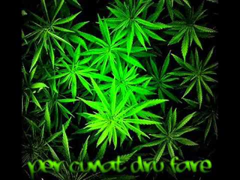 Blindi VG-Maria Maria 2013 (Rasta)