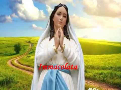 Immacolata Vergine Bella - Realizzazione video: Gabriella Di Carlo