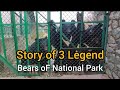 Dachigam National Park, A Story of 3 Legend Bears of the Zoo, Located in Jammu and Kashmir