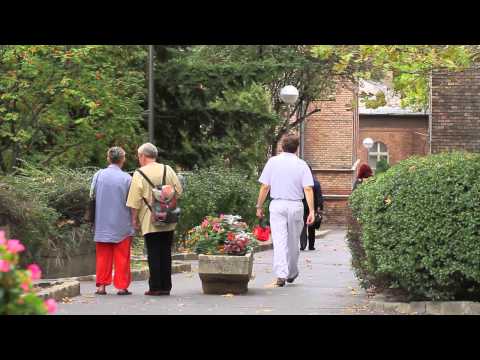 A Test-Vér Egészségpénztár tájékoztató filmje - 2013