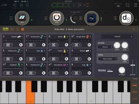 App Skaka Shaked Percussion HQ (iPad5 - Zé Osório)