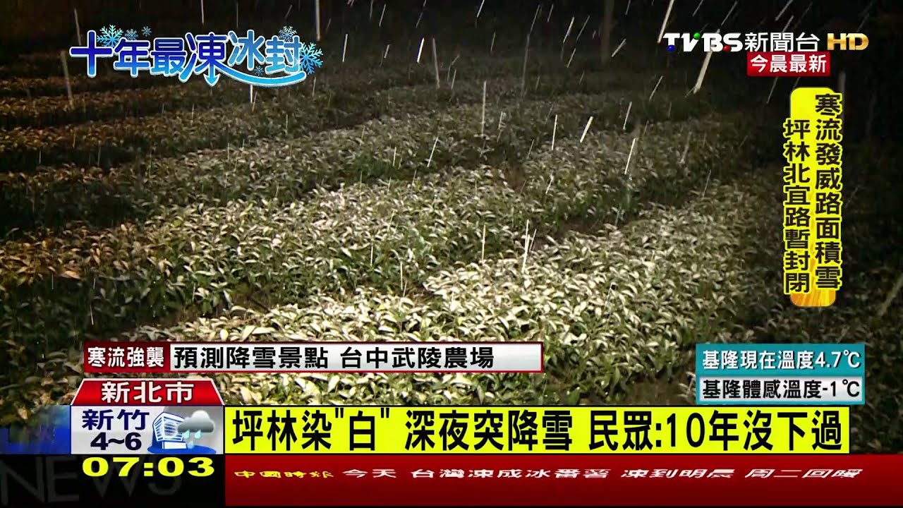 冷氣團發威!坪林南山寺飄雪 茶園一片白