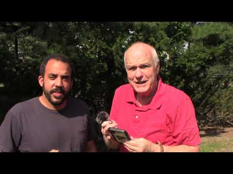 The Parable of the Wicked Tenants (Mark 12:1-12)