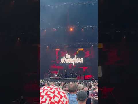 Thumbnail for The Stranglers - Golden Brown (Live in Glasgow 2025) by The Stranglers