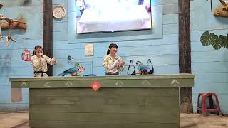 鸚鵡表演～套圈圈比賽