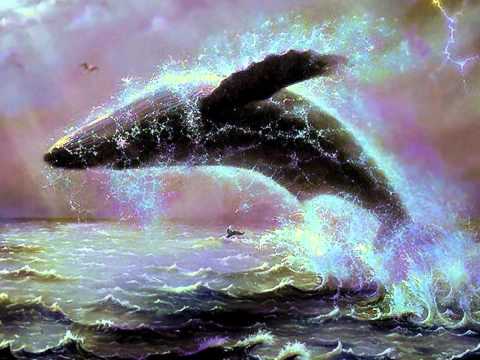 How I Became The Sea video